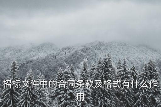 招標(biāo)文件中的合同條款及格式有什么作用