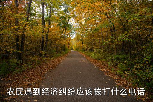 農(nóng)民遇到經(jīng)濟(jì)糾紛應(yīng)該撥打什么電話