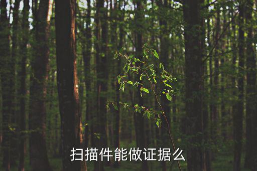 掃描件能做證據(jù)么