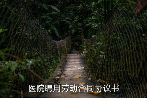 醫(yī)院聘用勞動合同協(xié)議書