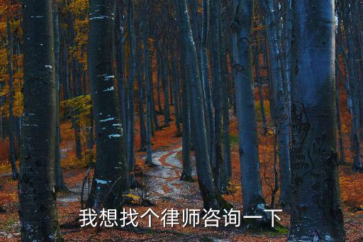 我要找律師咨詢一下，我想找個(gè)律師咨詢一下