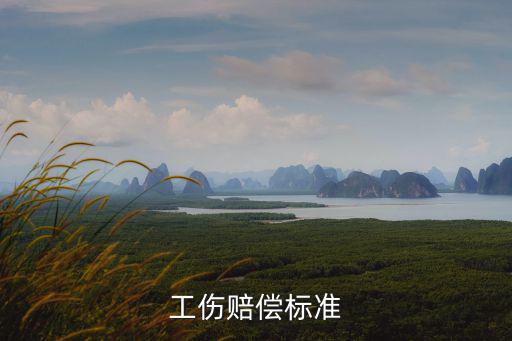工傷賠償標準