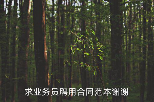 業(yè)務(wù)員合作協(xié)議書，業(yè)務(wù)員合同協(xié)議書