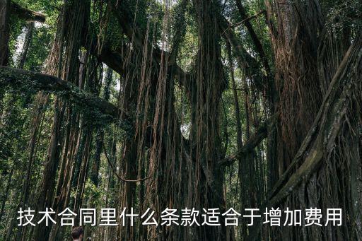 技術合同里什么條款適合于增加費用