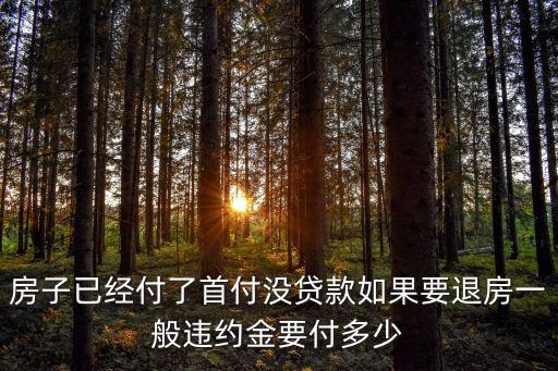房子已經(jīng)付了首付沒貸款如果要退房一般違約金要付多少