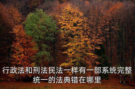 民法典全文完整版，行政法和刑法民法一樣有一部系統(tǒng)完整統(tǒng)一的法典錯(cuò)在哪里