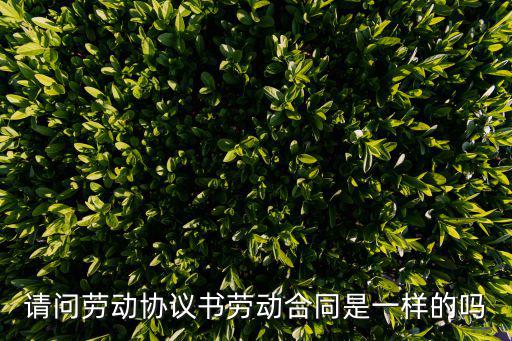 請(qǐng)問(wèn)勞動(dòng)協(xié)議書勞動(dòng)合同是一樣的嗎