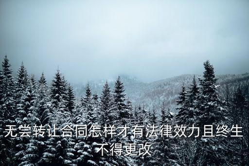 無嘗轉(zhuǎn)讓合同怎樣才有法律效力且終生不得更改