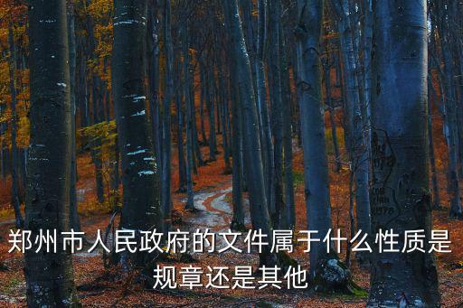政府令屬于什么性質(zhì)，鄭州市人民政府的文件屬于什么性質(zhì)是規(guī)章還是其他
