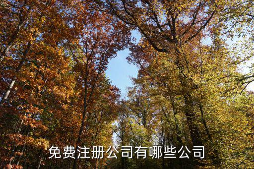 免費注冊公司有哪些公司