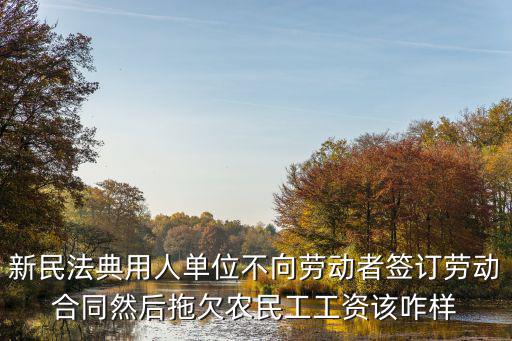 新民法典用人單位不向勞動者簽訂勞動合同然后拖欠農(nóng)民工工資該咋樣