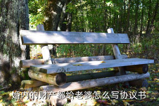 婚內(nèi)的財(cái)產(chǎn)都給老婆怎么寫(xiě)協(xié)議書(shū)