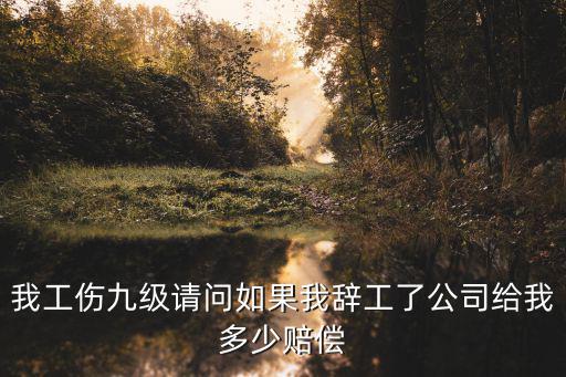 我工傷九級請問如果我辭工了公司給我多少賠償