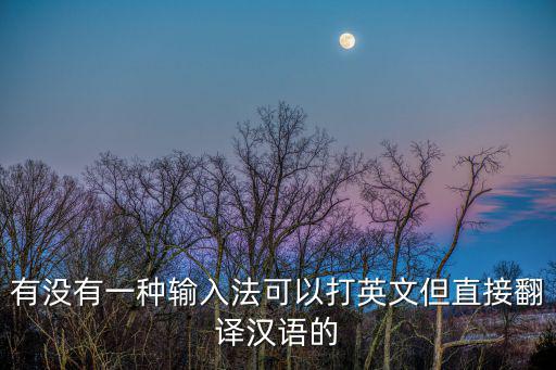 有沒有一種輸入法可以打英文但直接翻譯漢語的