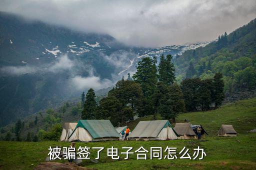被騙簽了電子合同怎么辦