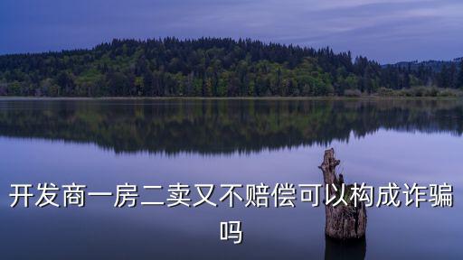 開發(fā)商一房二賣又不賠償可以構成詐騙嗎