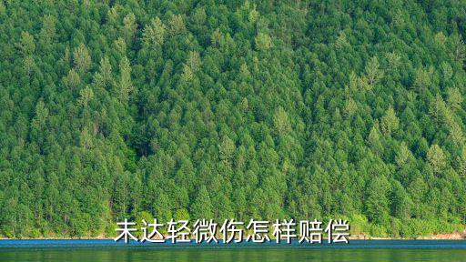 未達(dá)輕微傷怎樣賠償