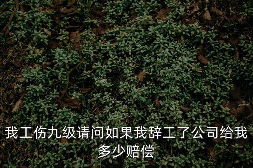 工傷9級辭職后有哪些賠償，工傷九級被公司辭退怎么賠償