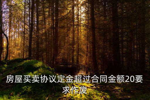 超過(guò)20的定金如何處理，交付方所交定金超過(guò)總金額的20合同上明確寫(xiě)明定金不予退還