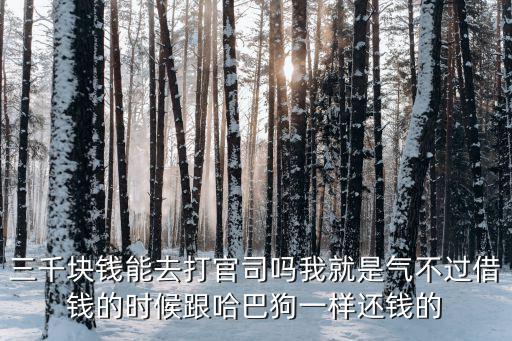 三千塊錢能去打官司嗎我就是氣不過借錢的時候跟哈巴狗一樣還錢的