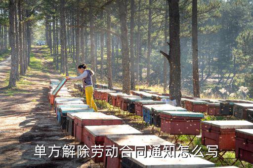 單方解除勞動(dòng)合同通知怎么寫