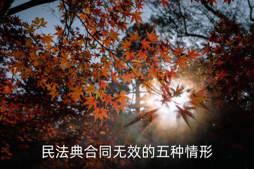 民法典規(guī)定的五種無效合同，合同無效五種情形是哪幾種