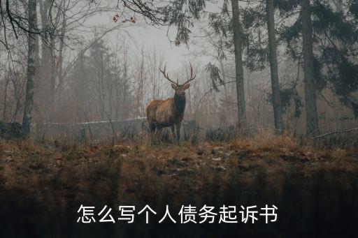 怎么寫(xiě)個(gè)人債務(wù)起訴書(shū)