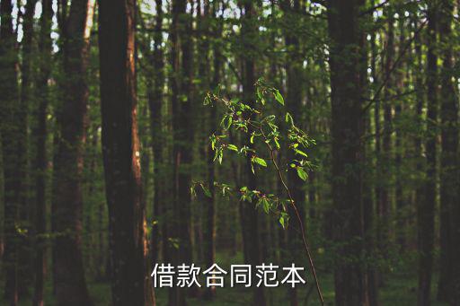 借款合同范本