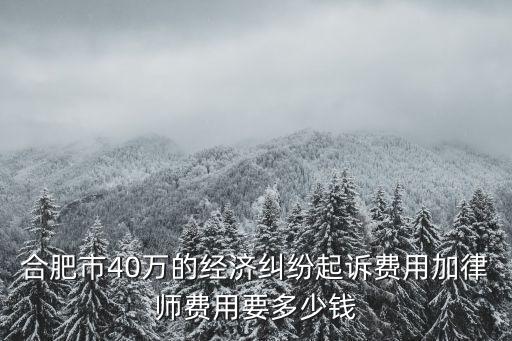 合肥市40萬的經(jīng)濟糾紛起訴費用加律師費用要多少錢