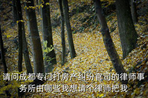 專業(yè)房產(chǎn)糾紛律師事務(wù)所，房產(chǎn)糾紛律師哪家專業(yè)