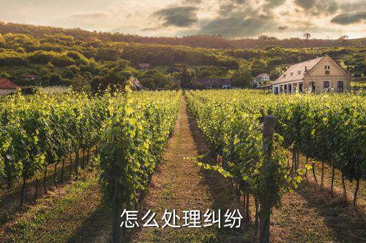 怎么處理糾紛