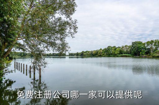 免費(fèi)注冊(cè)公司，免費(fèi)注冊(cè)公司有哪些公司