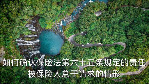 如何確認保險法第六十五條規(guī)定的責任被保險人怠于請求的情形