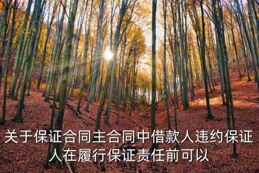 關(guān)于保證合同主合同中借款人違約保證人在履行保證責(zé)任前可以