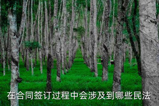 民法典合同內(nèi)容，民法中合同法解釋二11條12條內(nèi)容請簡單舉例說明