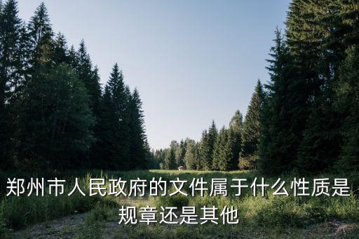 鄭州市人民政府的文件屬于什么性質(zhì)是規(guī)章還是其他
