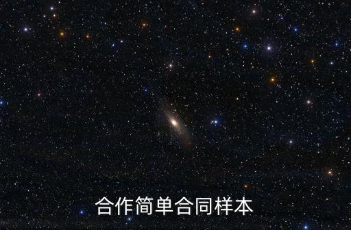合作簡單合同樣本