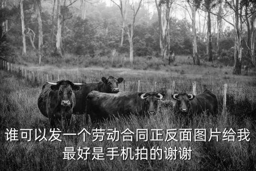 合同封面圖片大全，誰可以發(fā)一個勞動合同正反面圖片給我最好是手機(jī)拍的謝謝