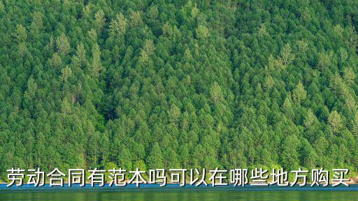 勞動合同有范本嗎可以在哪些地方購買