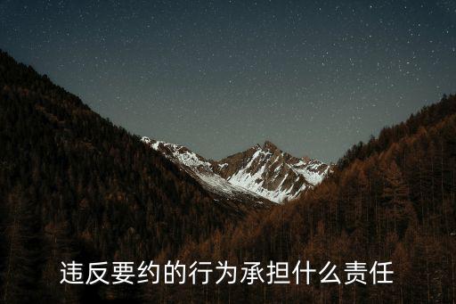 違背契約精神的后果，違反要約的行為承擔(dān)什么責(zé)任