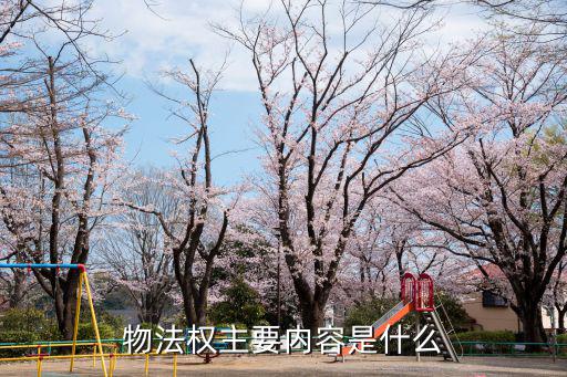2022年民法典物權(quán)法，民法總則規(guī)定物權(quán)包括哪些