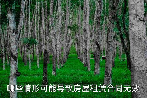 哪些情形可能導(dǎo)致房屋租賃合同無效