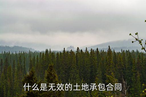 什么是無效的土地承包合同