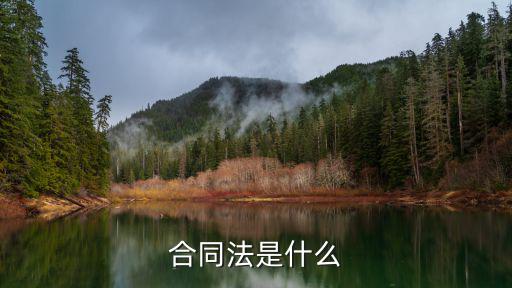 合同法是什么