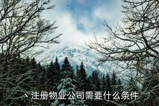 丶注冊物業(yè)公司需要什么條件