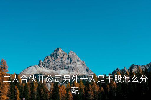 2人合伙一個不干活股份分配，二人合伙開公司另外一人是干股怎么分配