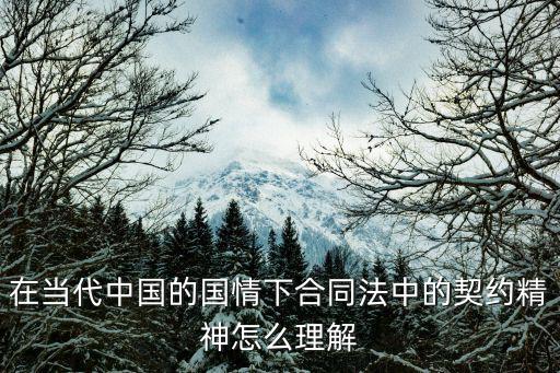 在當(dāng)代中國(guó)的國(guó)情下合同法中的契約精神怎么理解