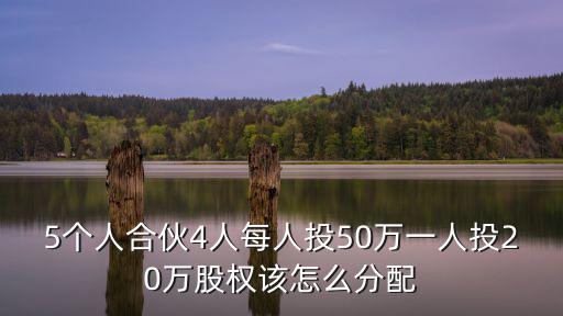 5人合伙最佳股權分配方案，5個人合伙4人每人投50萬一人投20萬股權該怎么分配