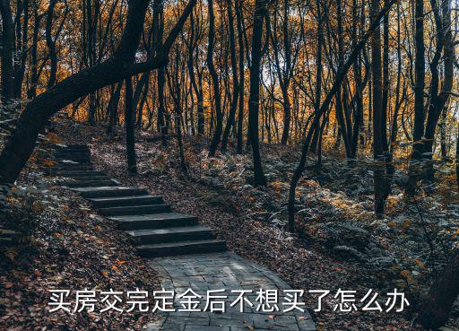 買房交完定金后不想買了怎么辦