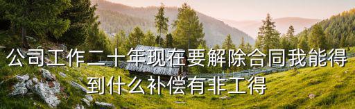 工作20年解除勞動合同如何賠償，公司工作二十年現(xiàn)在要解除合同我能得到什么補(bǔ)償有非工得